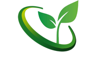 現(xiàn)化化農業(yè)大棚建